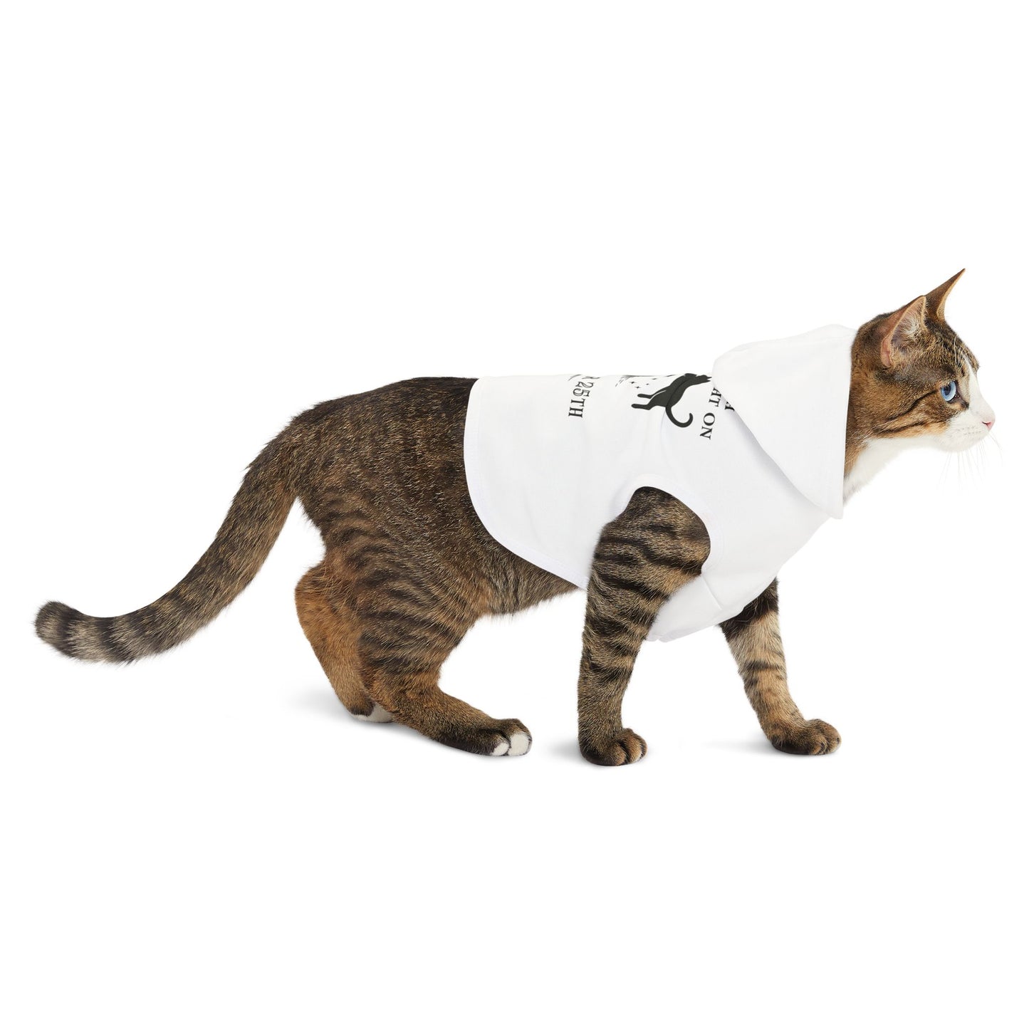 Morning Cat (on Dec. 25th) – Hoodie for the Festively Feline