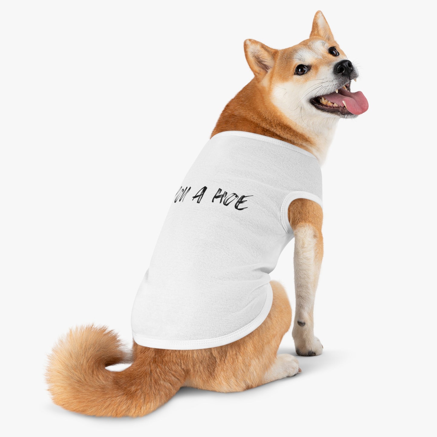 You a Hoe – The Unfiltered Pet Tank