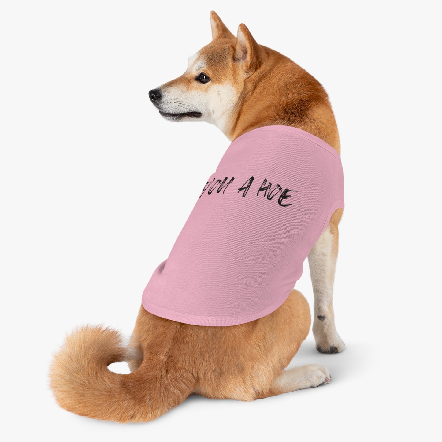 You a Hoe – The Unfiltered Pet Tank