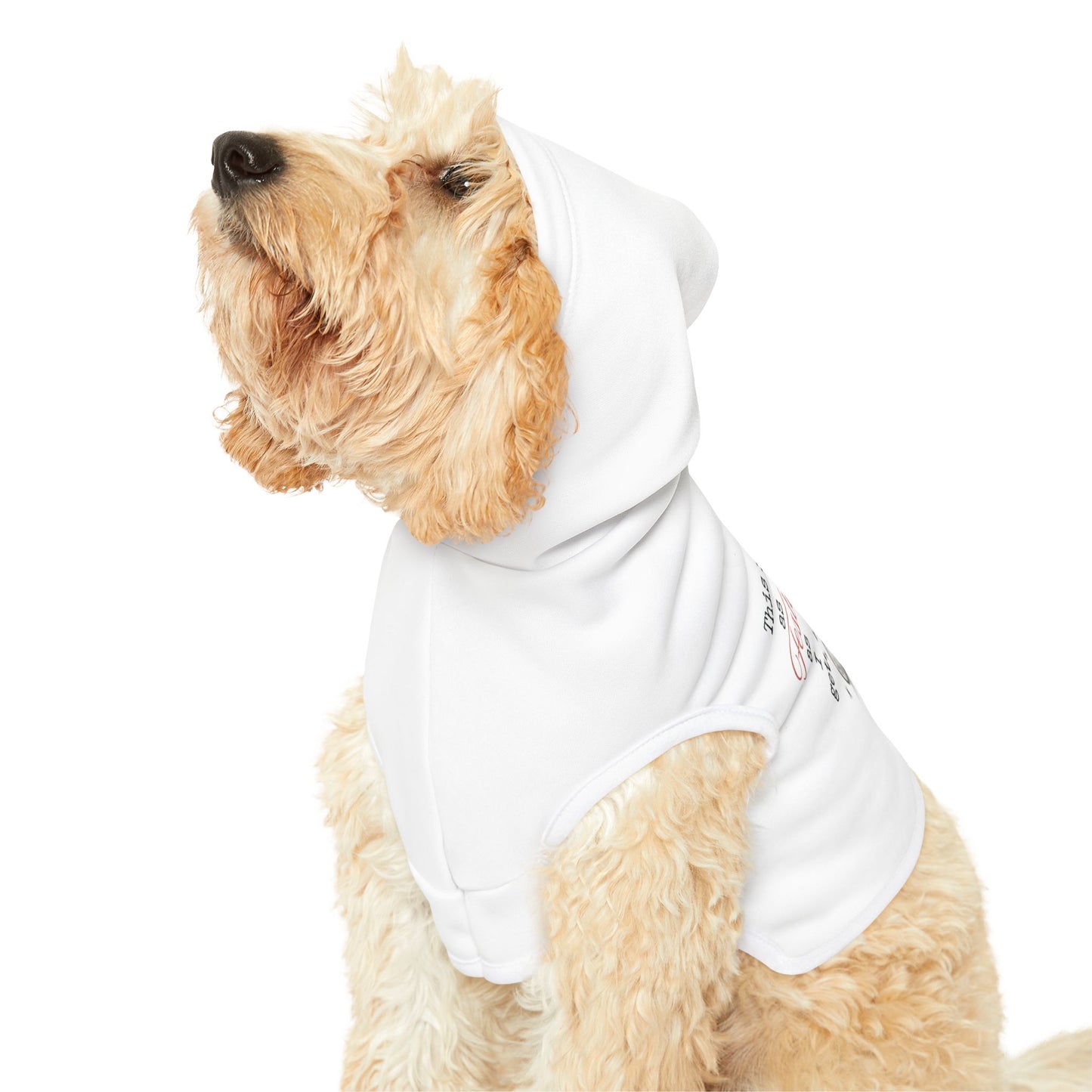 As Festive As I Get – Hoodie for the Stocking-Stuffed Pup