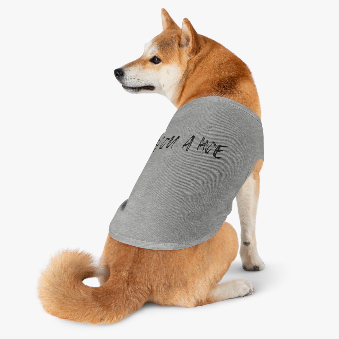 You a Hoe – The Unfiltered Pet Tank