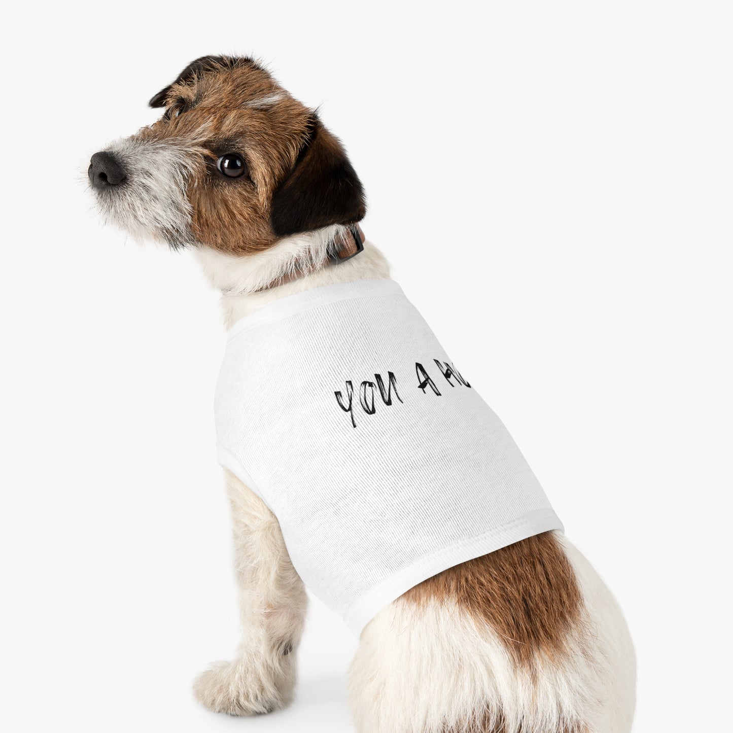 You a Hoe – The Unfiltered Pet Tank