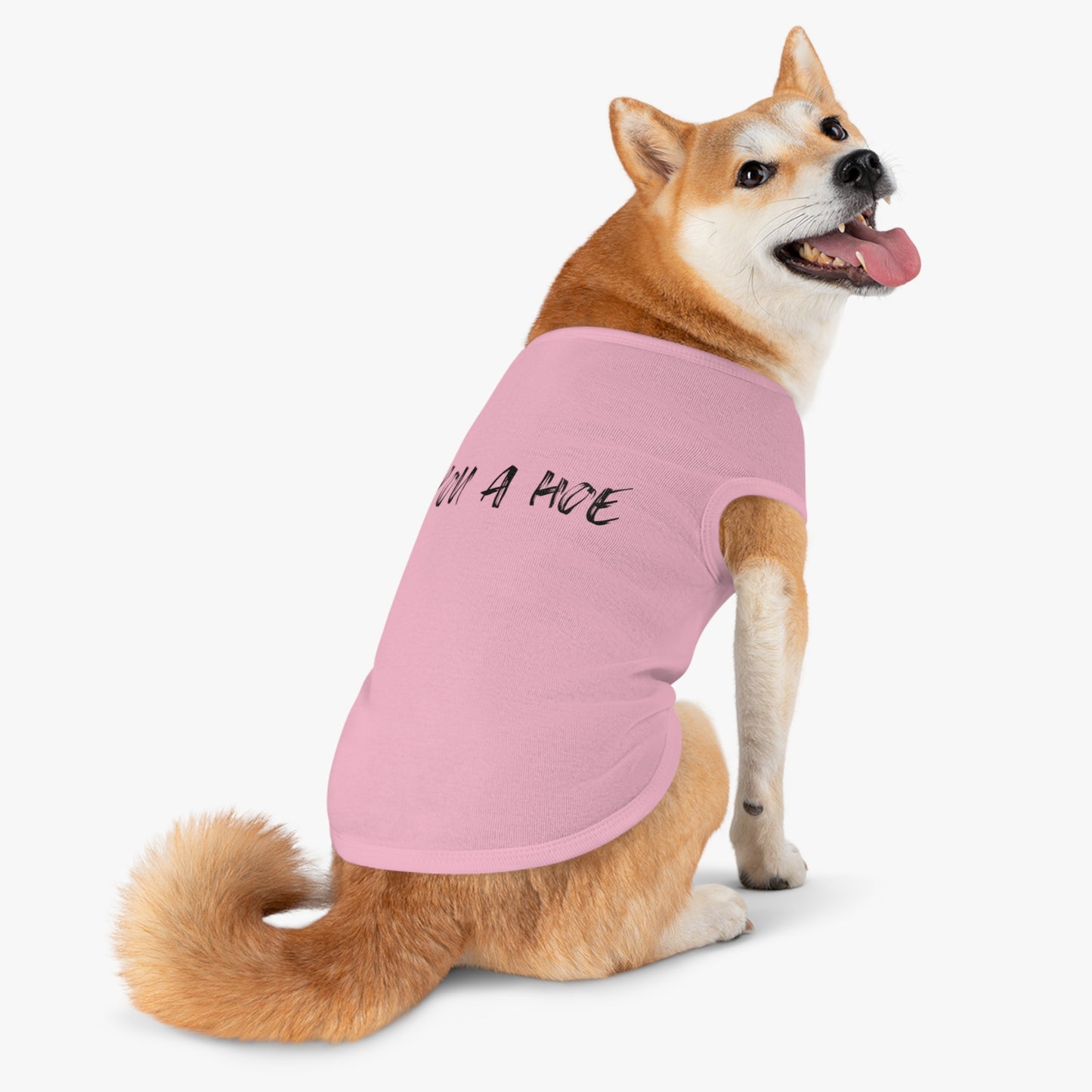 You a Hoe – The Unfiltered Pet Tank