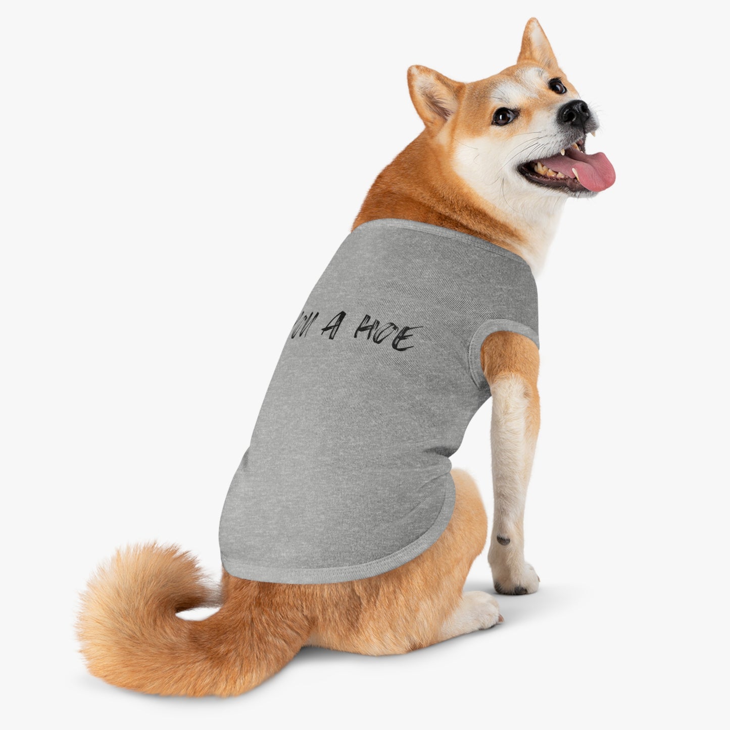 You a Hoe – The Unfiltered Pet Tank